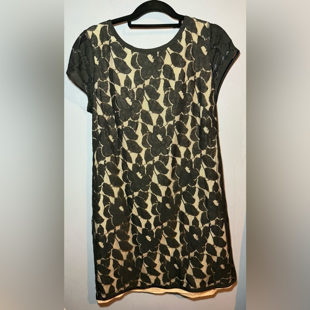 LOFT Black and Cream dress, size 14